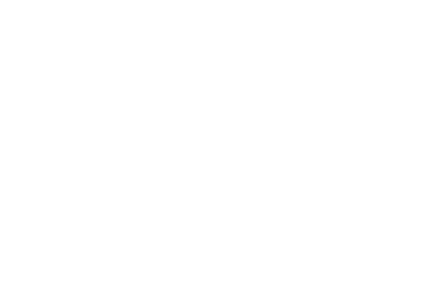Vaultek